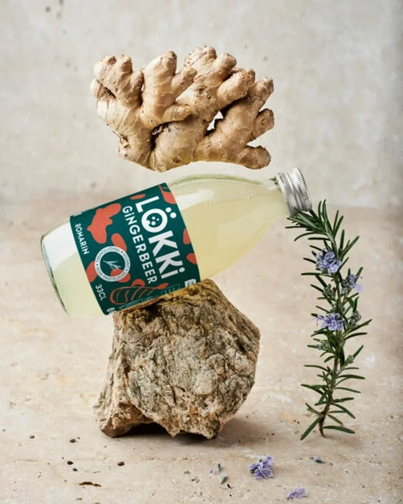 kombucha Lokki gingembre citron boisson naturelle