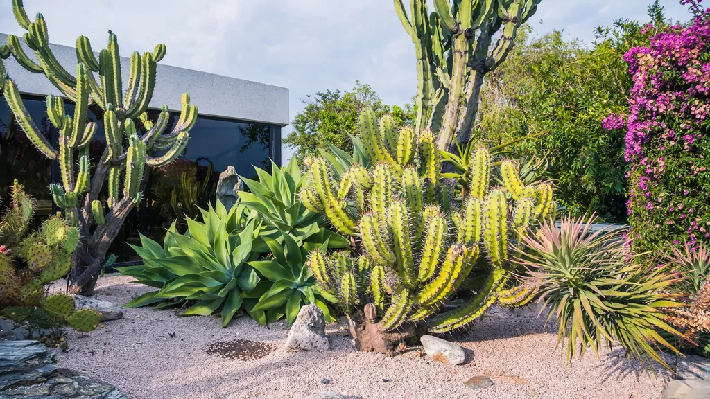 Rénovation de jardin à Cuges-les-Pins redonnez vie à vos extérieurs