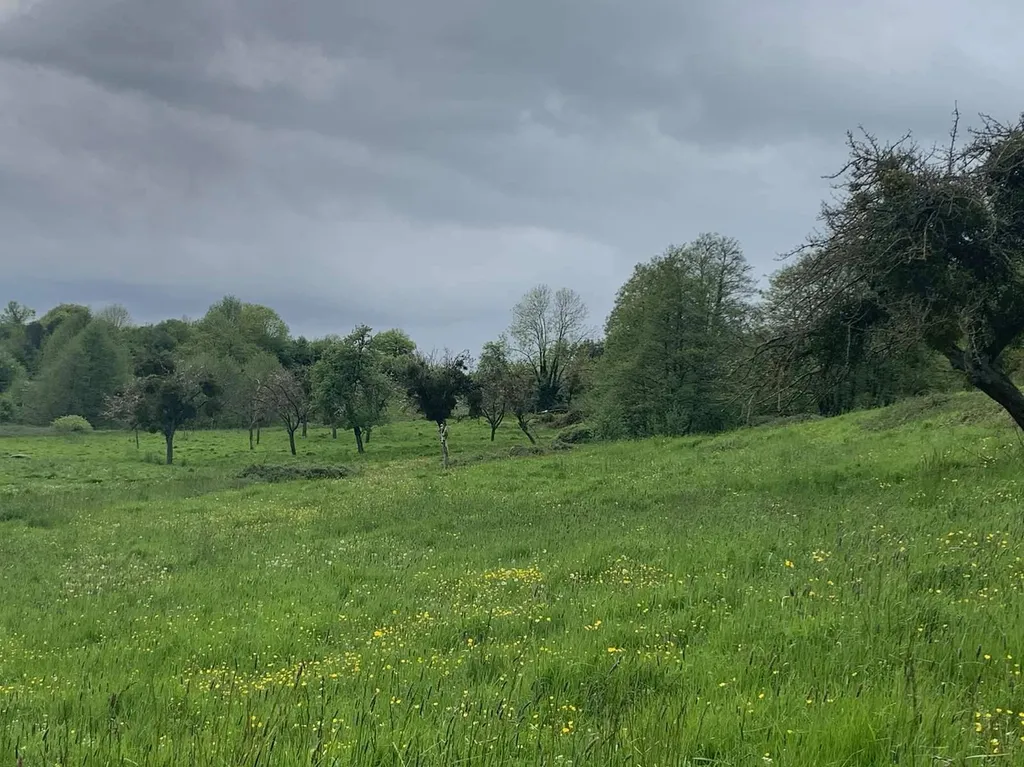 A vendre TERRAIN AGRICOLE DE 6HA 37A, dans la région de VIMOUTIERS 61120