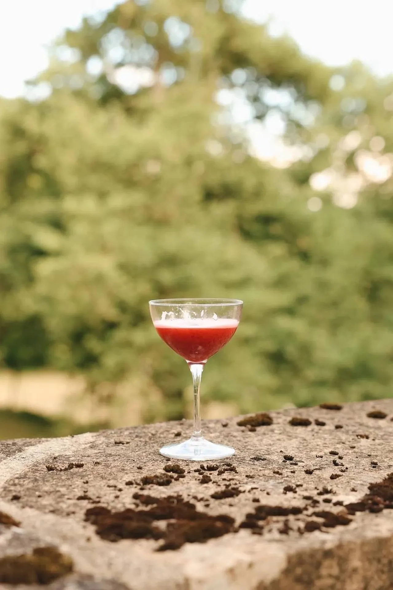 Bar à cocktails mobile pour mariage à Lyon – Élégance et convivialité