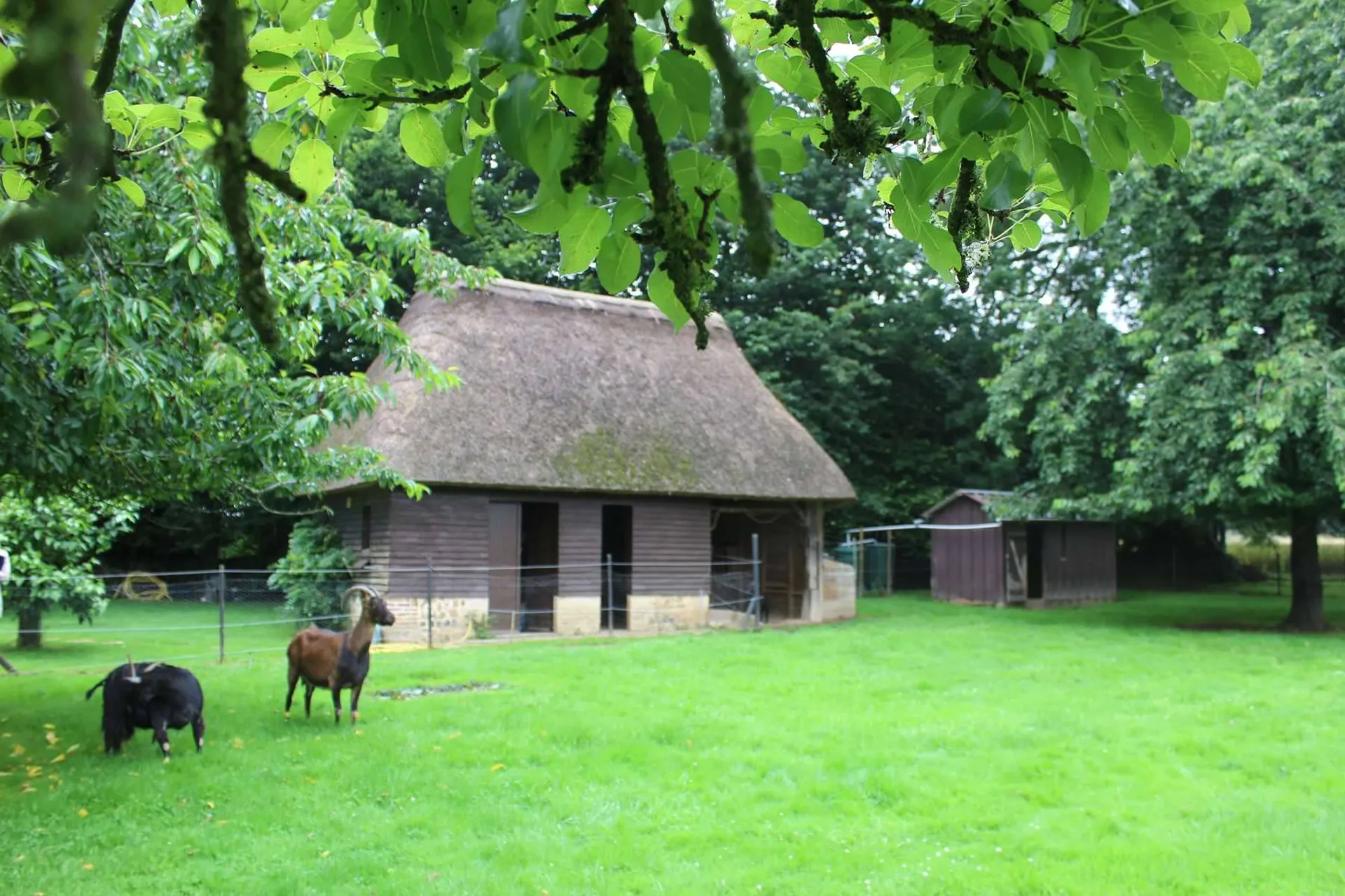 A acheter, chaumière et sa prairie