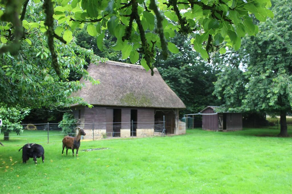A acheter, chaumière et sa prairie