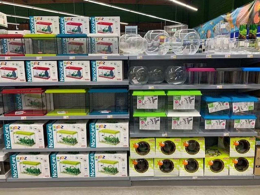 Acheter des poissons d'eau douce à proximité de Saint-Romain-de-Colbosc 76