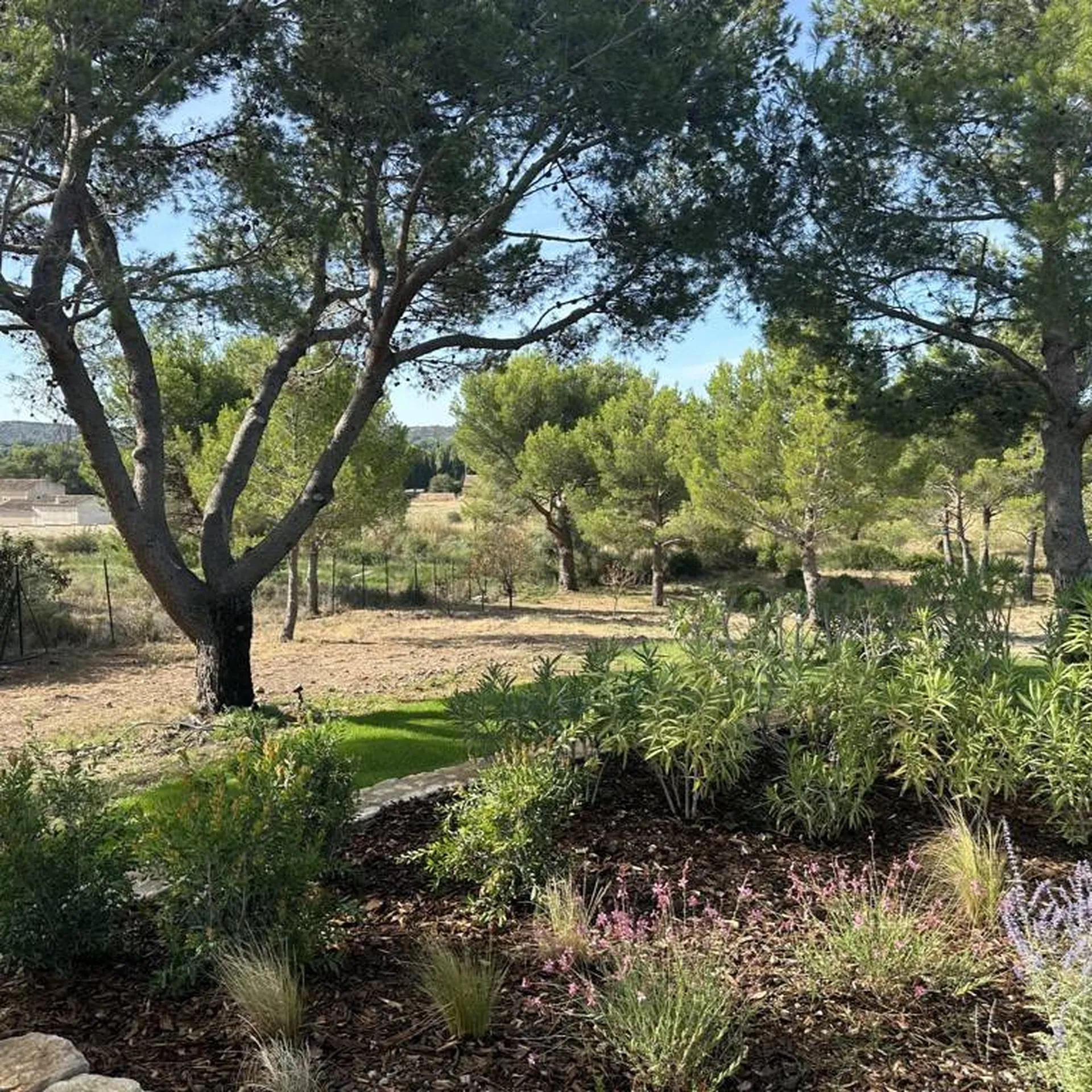 Création de jardin à Mouriès 13890, dans les Bouches-du-Rhône, par les experts paysagistes de Carré Vert