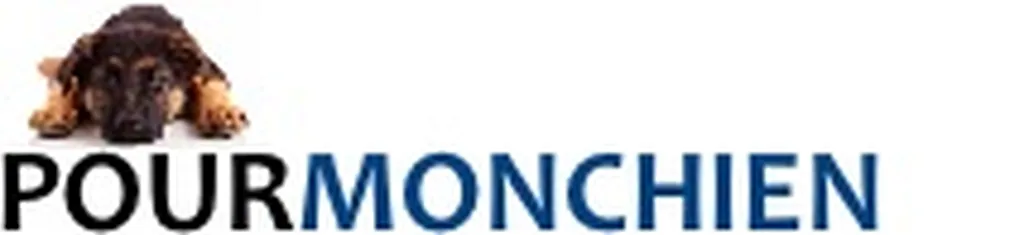 pour mon chien 