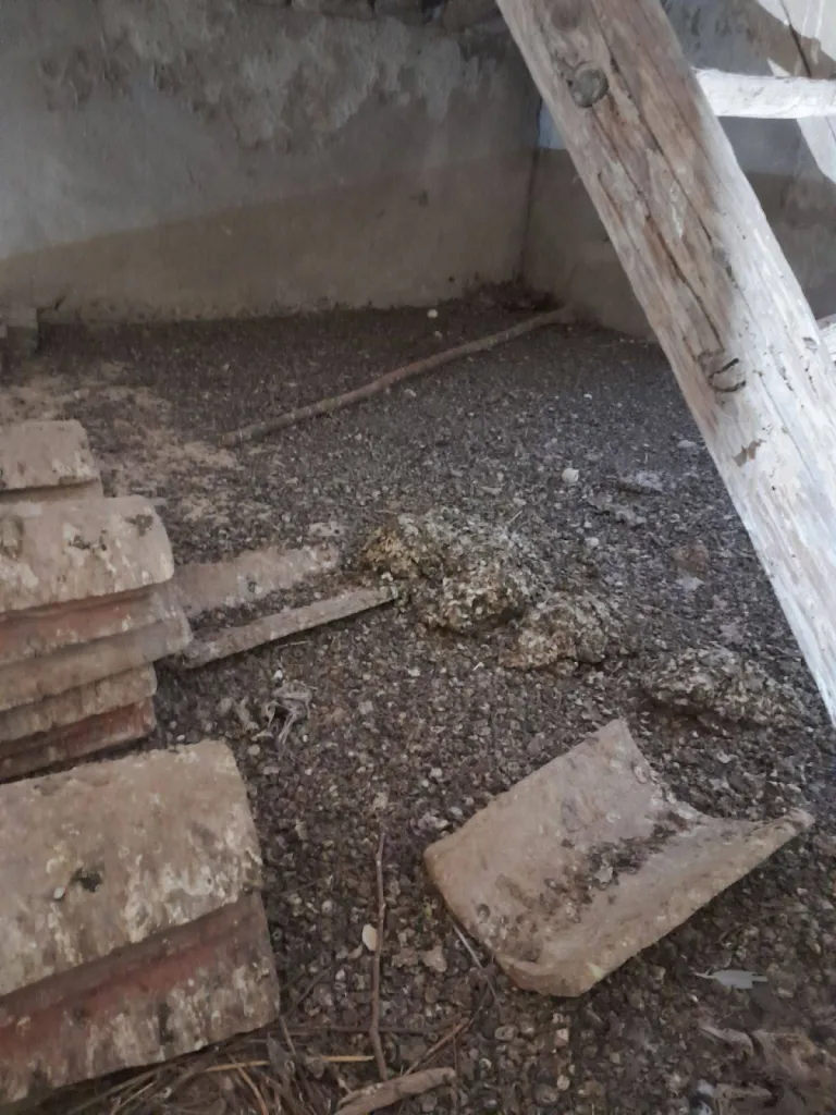 nettoyage maison abandonné 13