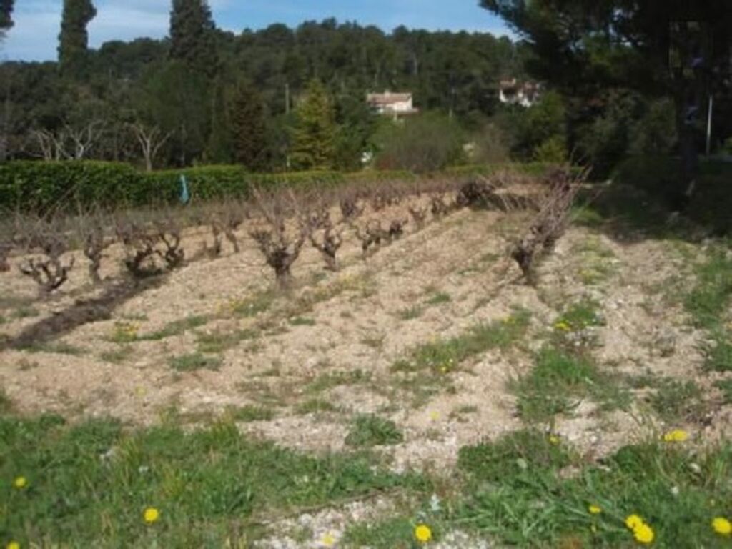 terrain à vendre Roquefort la Bédoule la ciotat