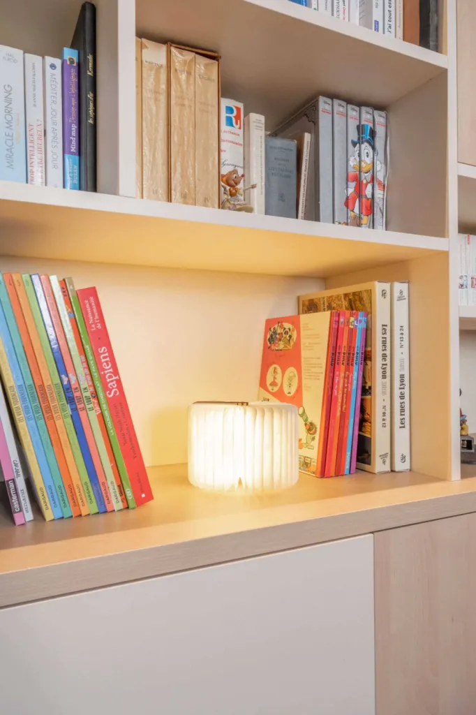 Bibliothèque design, originale et fonctionnelle à Lyon