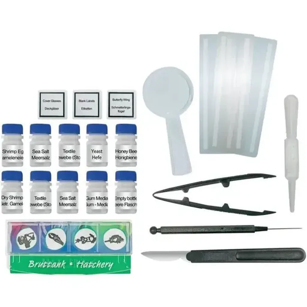 Set expériences pour enfant : cadeau ludique pour jeunes qui cherchent à découvrir le monde au microscope