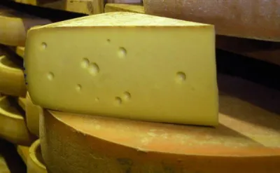  Gruyère France IGP Biologique en Bourgogne Franche Comté