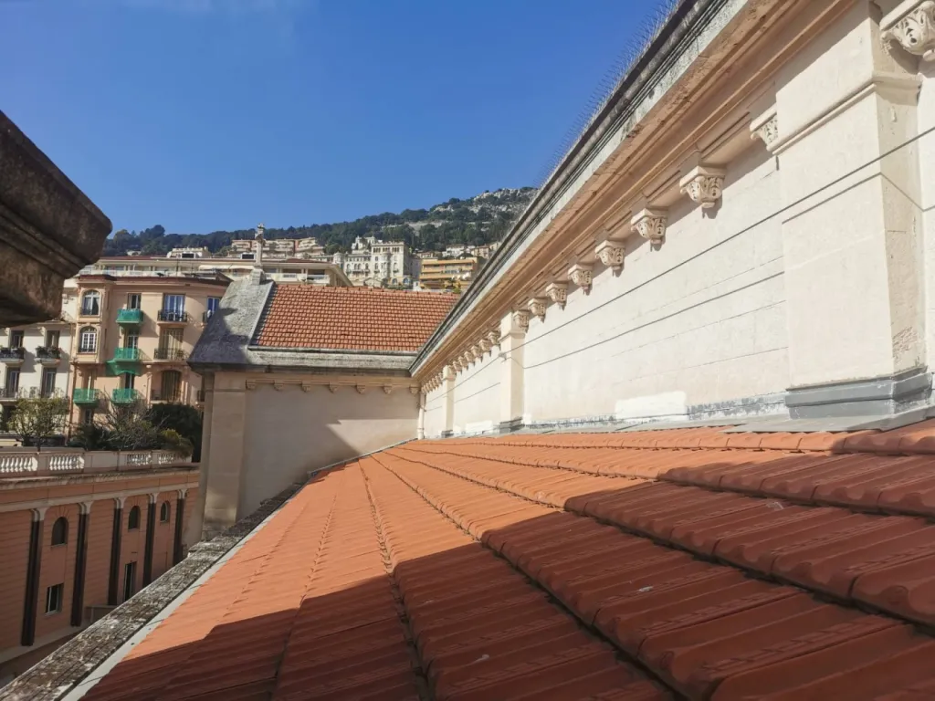 anti pigeon monaco 98000