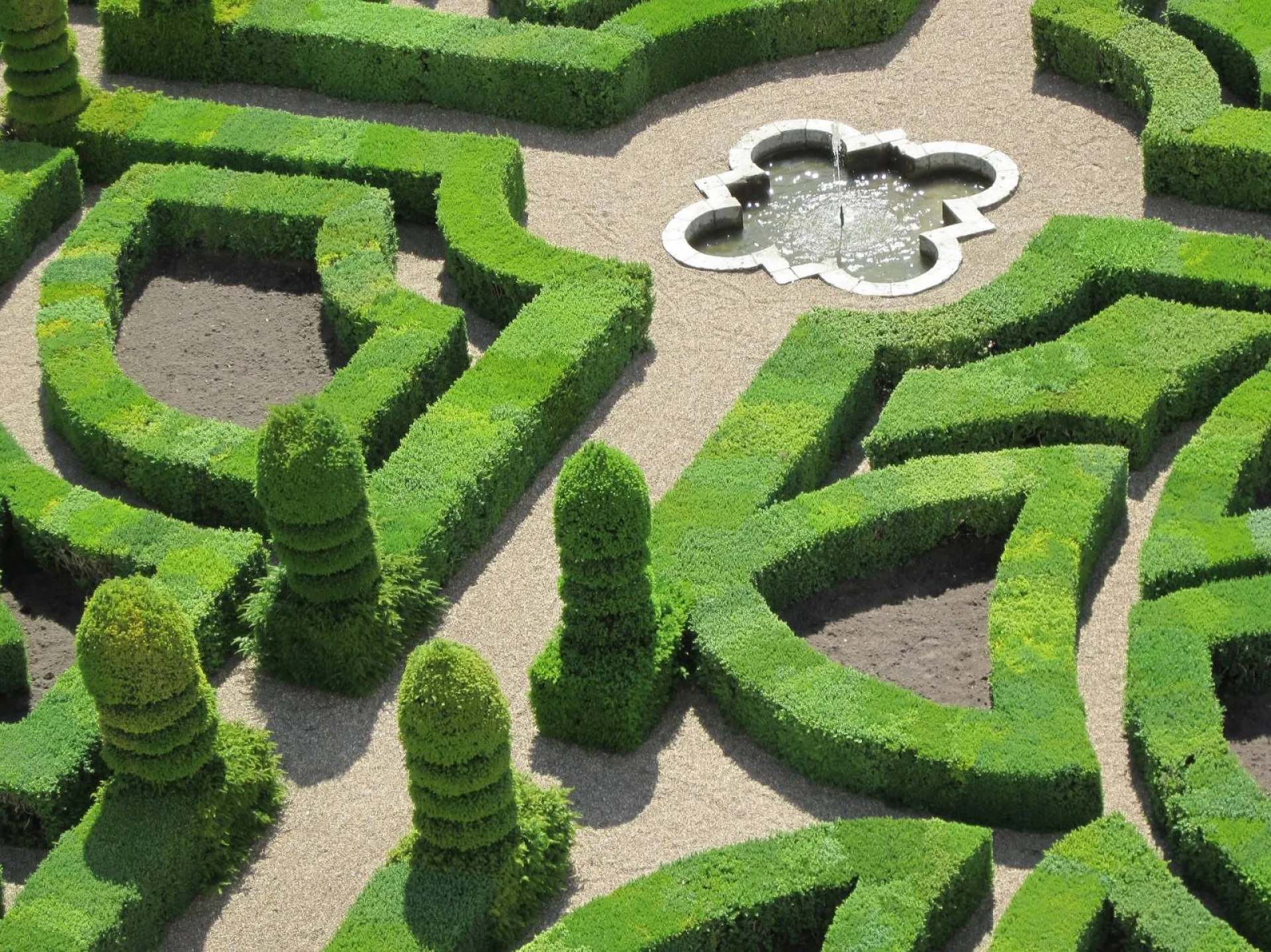 Taille en topiaire de jardin à la française dans le Vaucluse