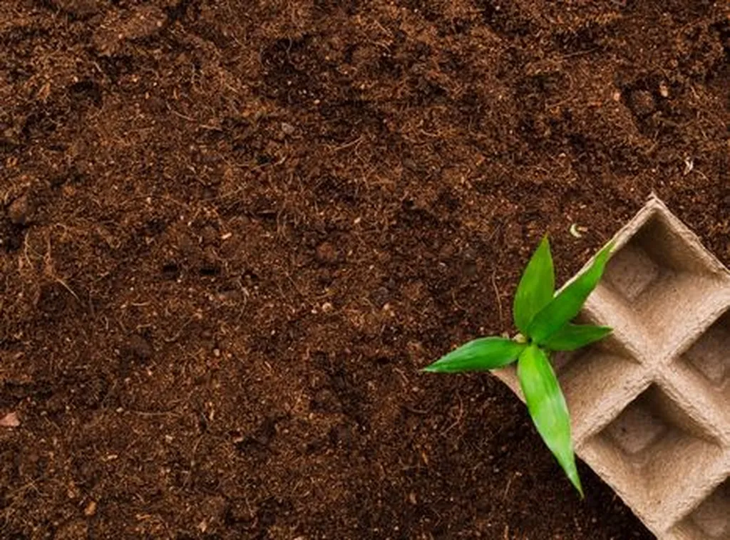 Notre zone d'activité pour ce serviceVente de plantes d'intérieur ou d'extérieur