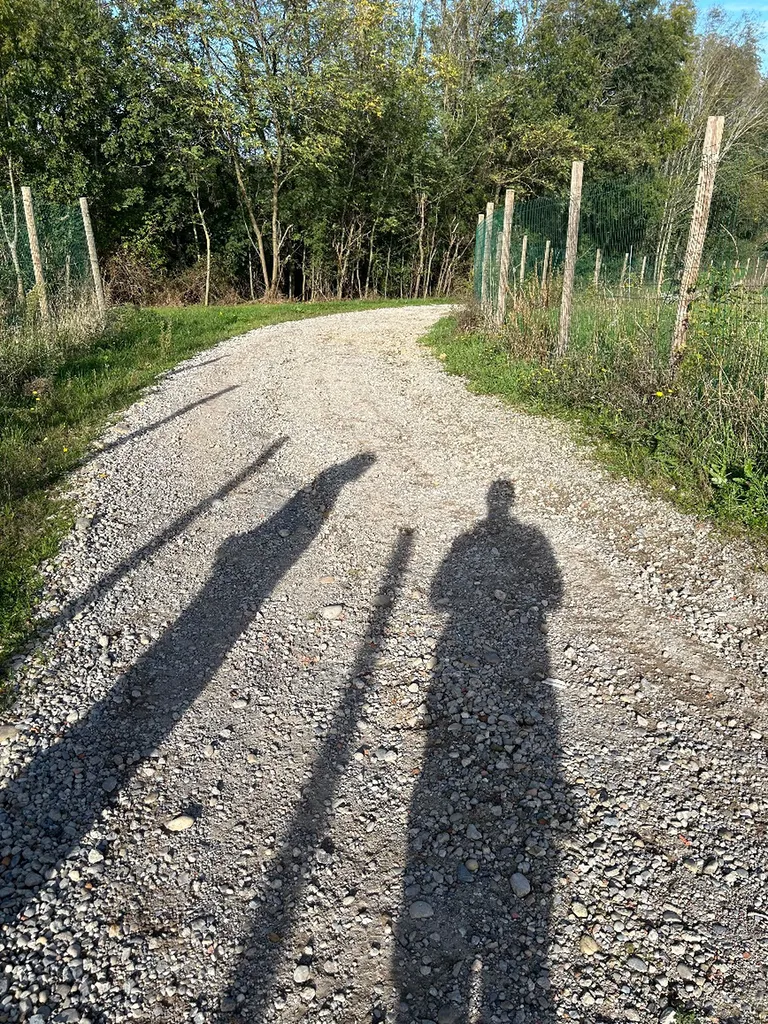 Entreprise de terrassement aux Monts d’or décapage et mise en œuvre de rabotage