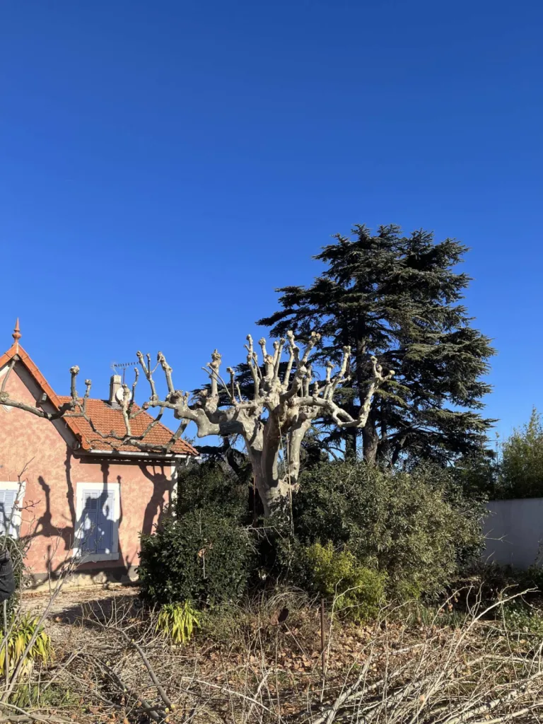 Nos prestations sur le secteur deà Bouc-Bel-Air proche Cabriès 