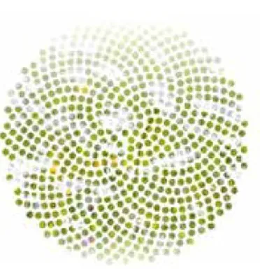 Paysagiste Phalsbourg dans la Moselle Tourne sol