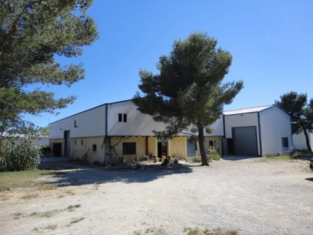 A ventre bureaux plaine du caire roquefort la bedoule