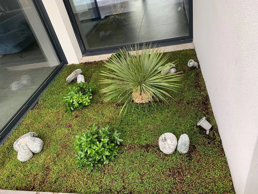 Qui propose des patios végétalisés de qualité avec système d’arrosage intégré à Biscarrosse