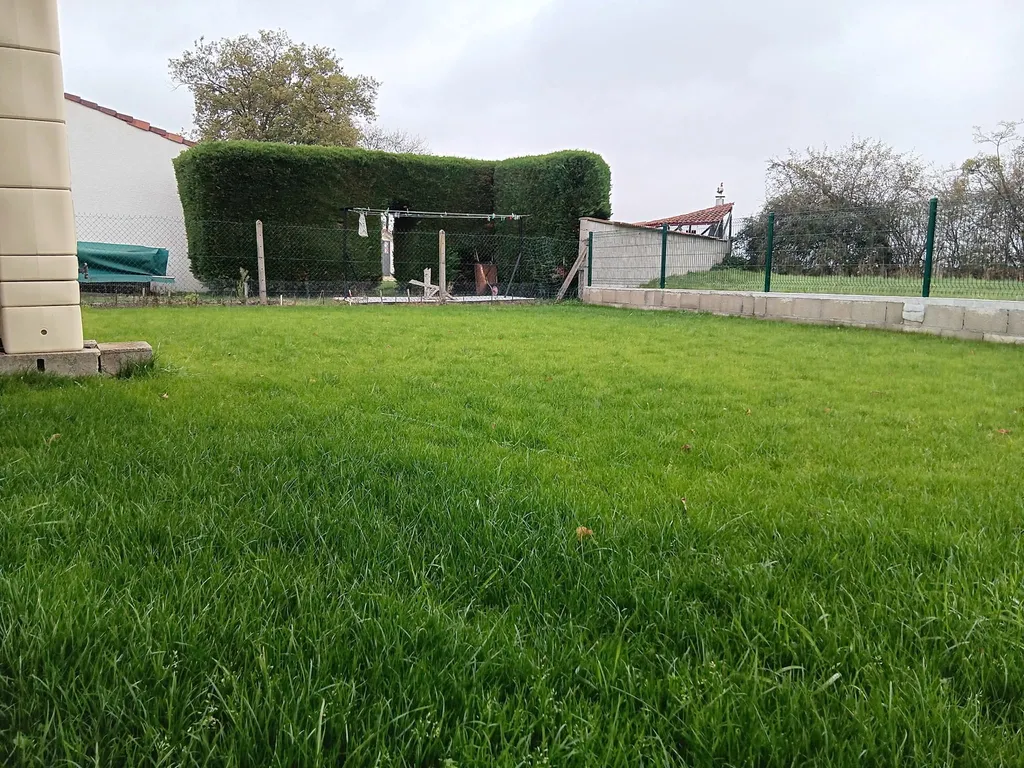 Plantation de gazon naturel pour réalisation d'une pelouse verte dans un jardin à Mably proche de Roanne