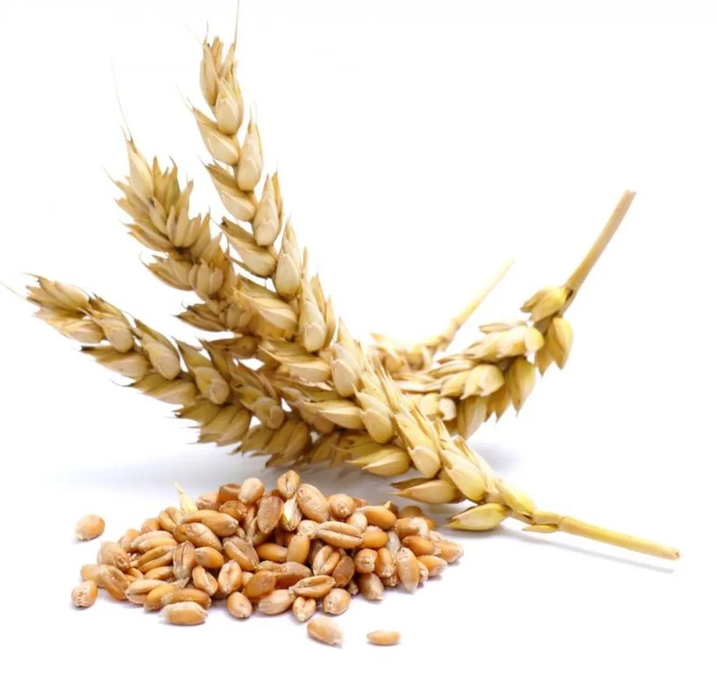 manger sans gluten marseille