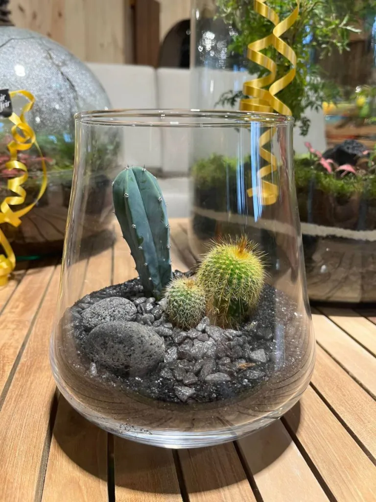 TERRARIUMS