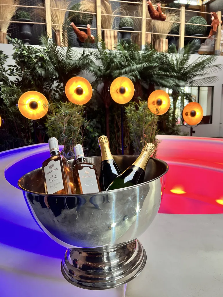 location bar lumineux au havre 