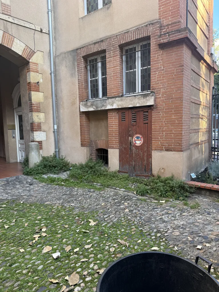 Entretien d’espaces verts en copropriété à Toulouse hyper centre proche de Balma taille de cyprès