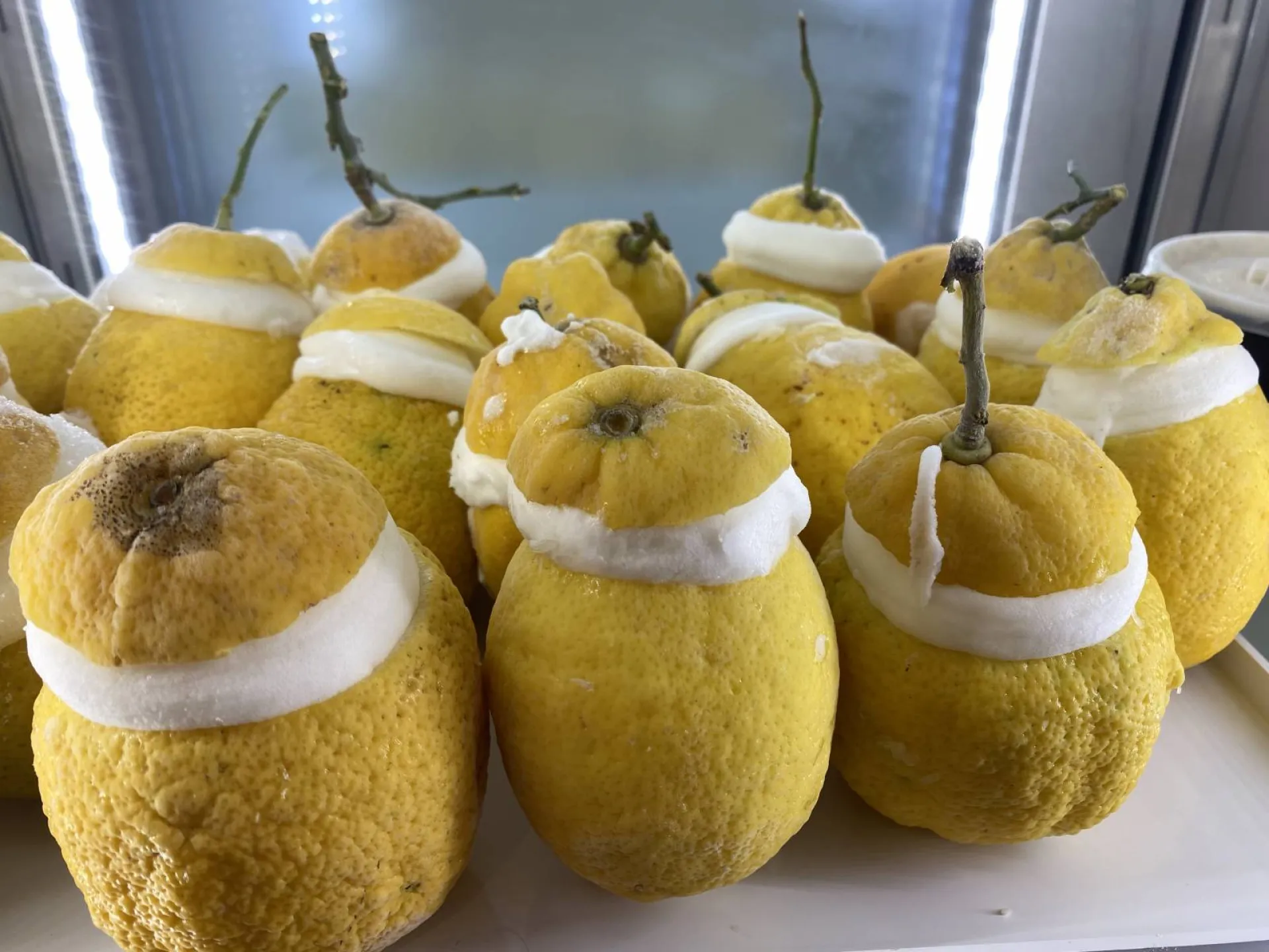 citrons givrés,villefranche sur saone