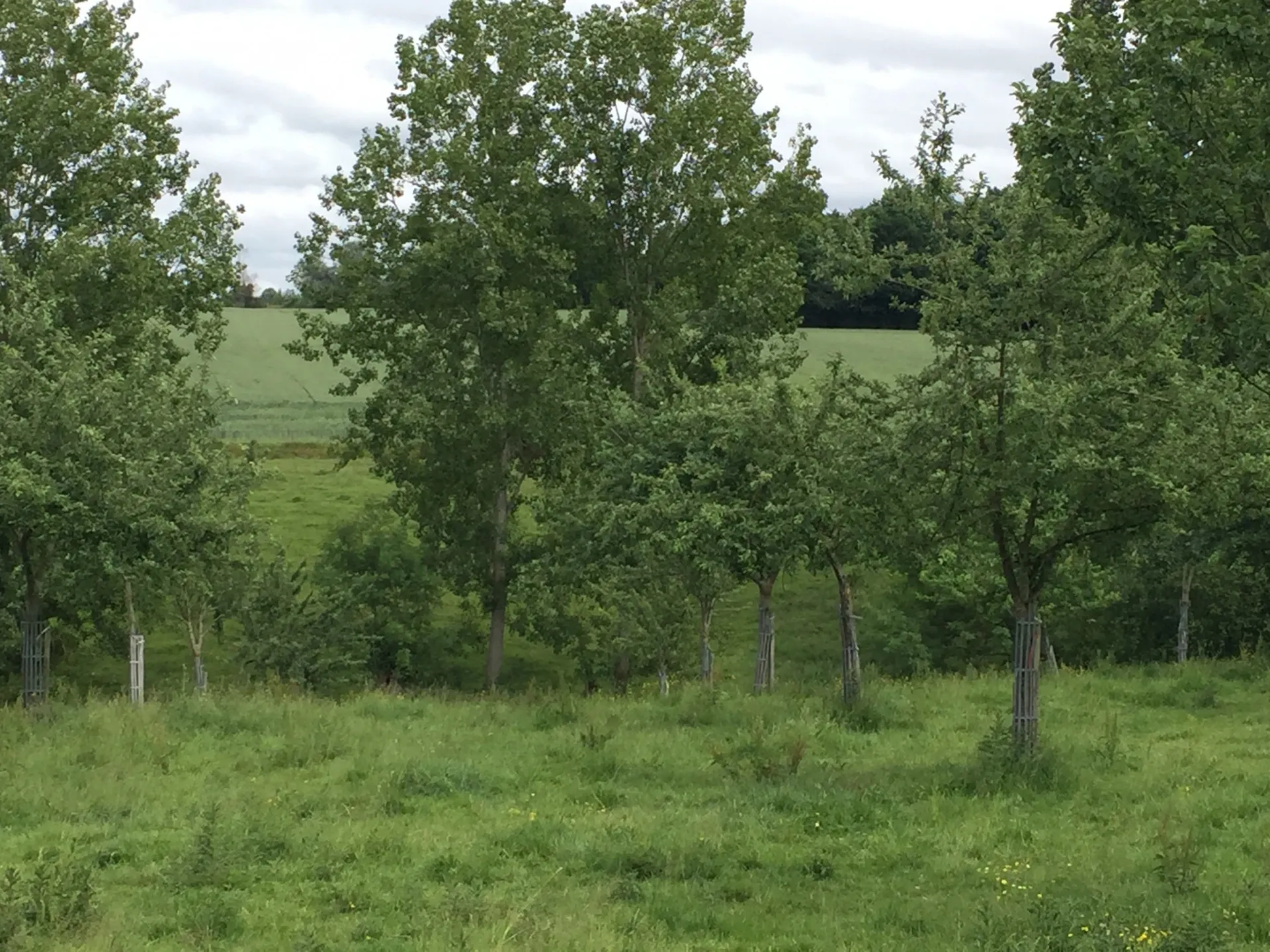 Recherche une ferme de 47 Hectares pour l’élevage, Eure 27, Orne 61, Calvados 14