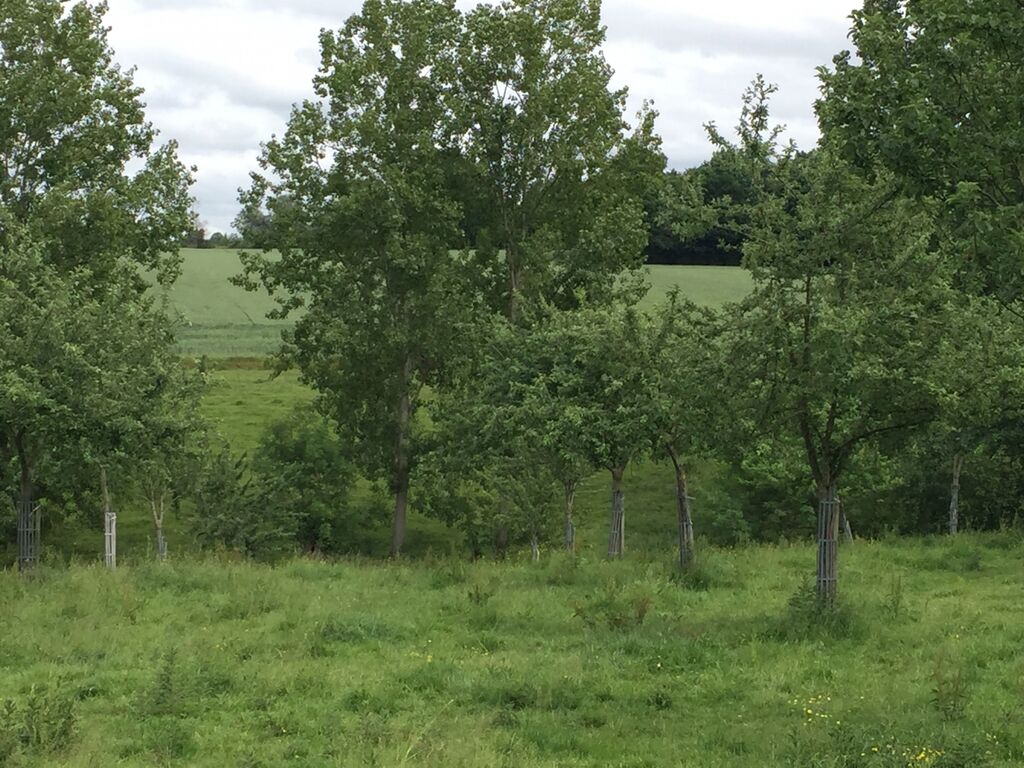 Recherche une ferme de 47 Hectares pour l’élevage, Eure 27, Orne 61, Calvados 14