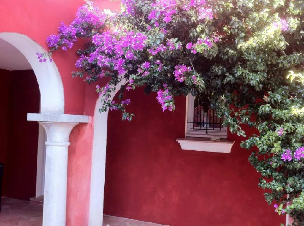 Façade BADIGEON DE CHAUX et Glacis DE TERRE DU MONDE-SAINT TROPEZ 