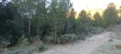 paysagiste devis entretien 13009