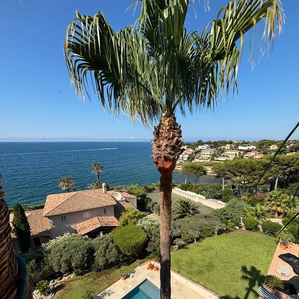 Un palmier bien entretenu, à la fois sûr et esthétique, grâce à l'expertise de l'entreprise dans les Alpilles et ses alentours