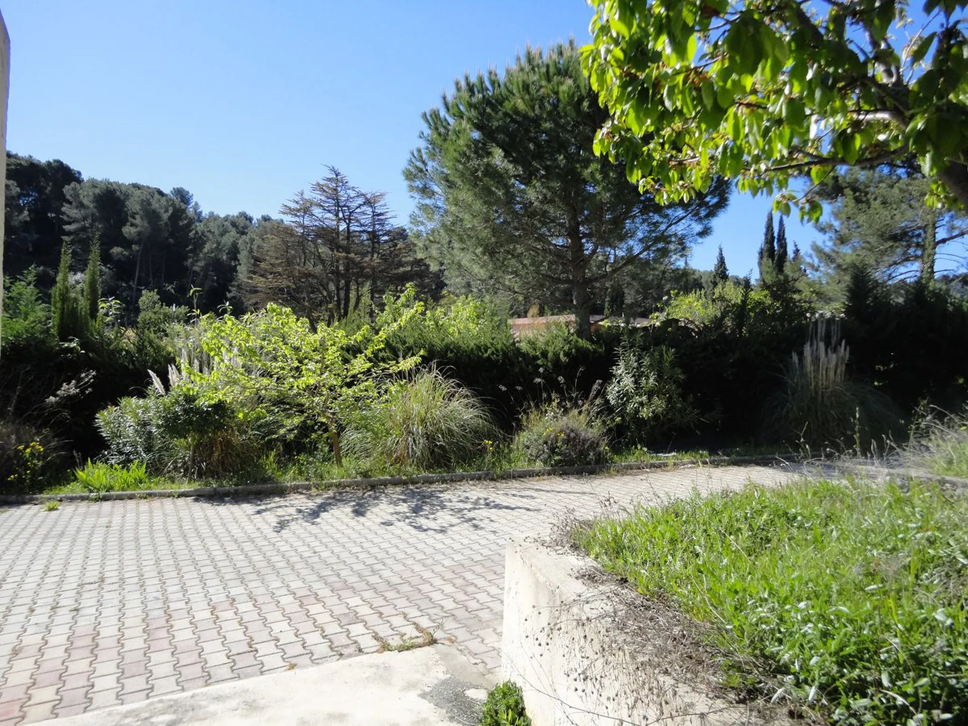 agence castellas immobilier