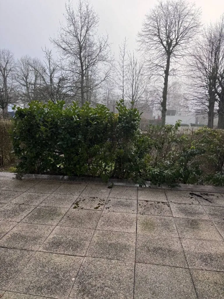 Situé en rez-de-jardin