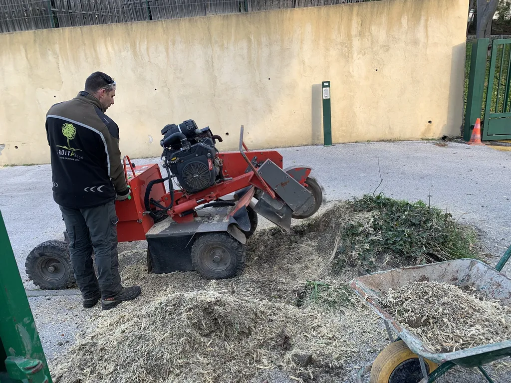 Rognage de souche et reprise d’enrobé – Intervention Jardivar