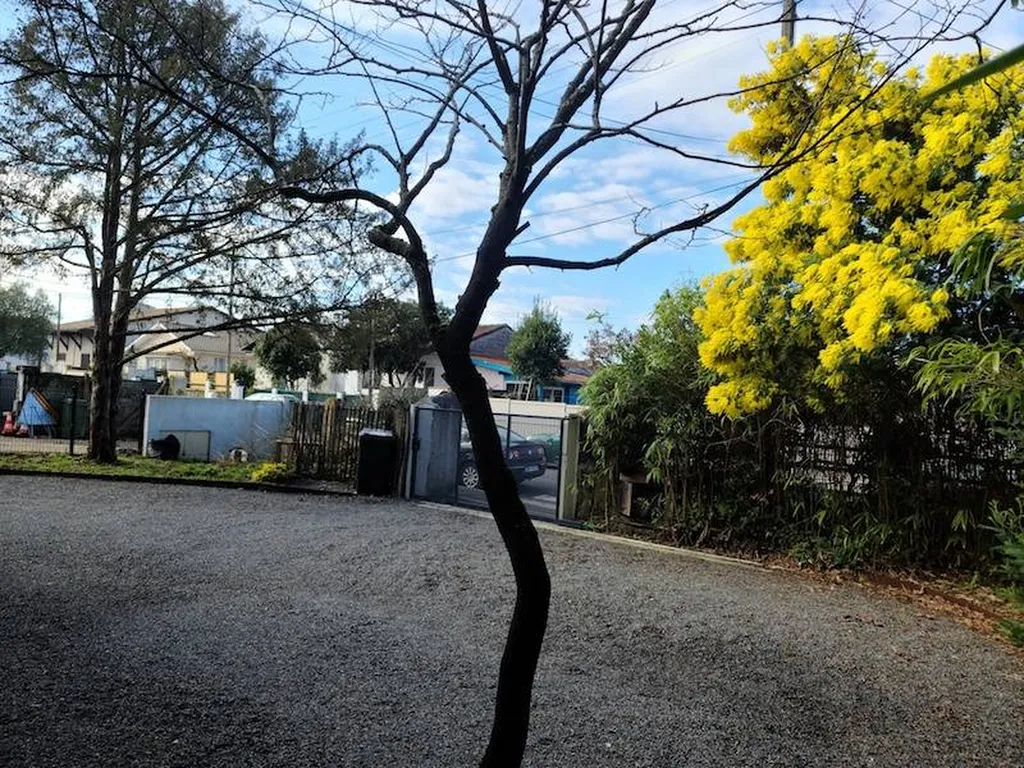 Location en Coliving à Pessac 33 600