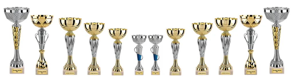 LOT DE COUPES DE 20 à 30 cm ETE N°2