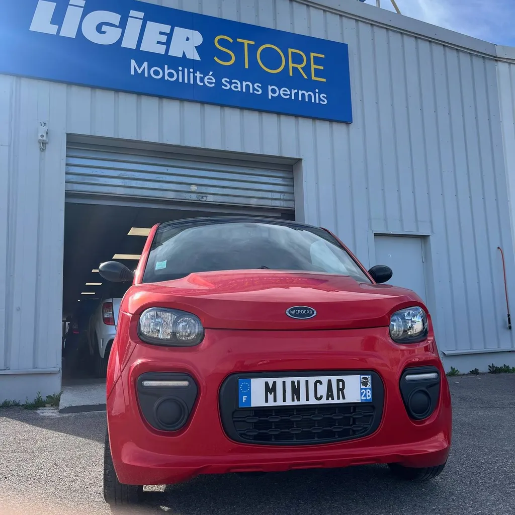 voiture sans permis occasion Ligier Microcar bouc bel air