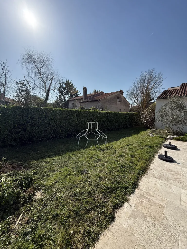 Taille de haie de laurier palme à Castelginest proche de Balma : intervention rapide et soignée par votre paysagiste LT Paysage