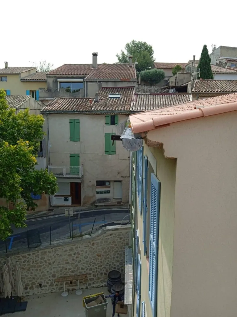 pic à pigeons pas cher et efficace marseille
