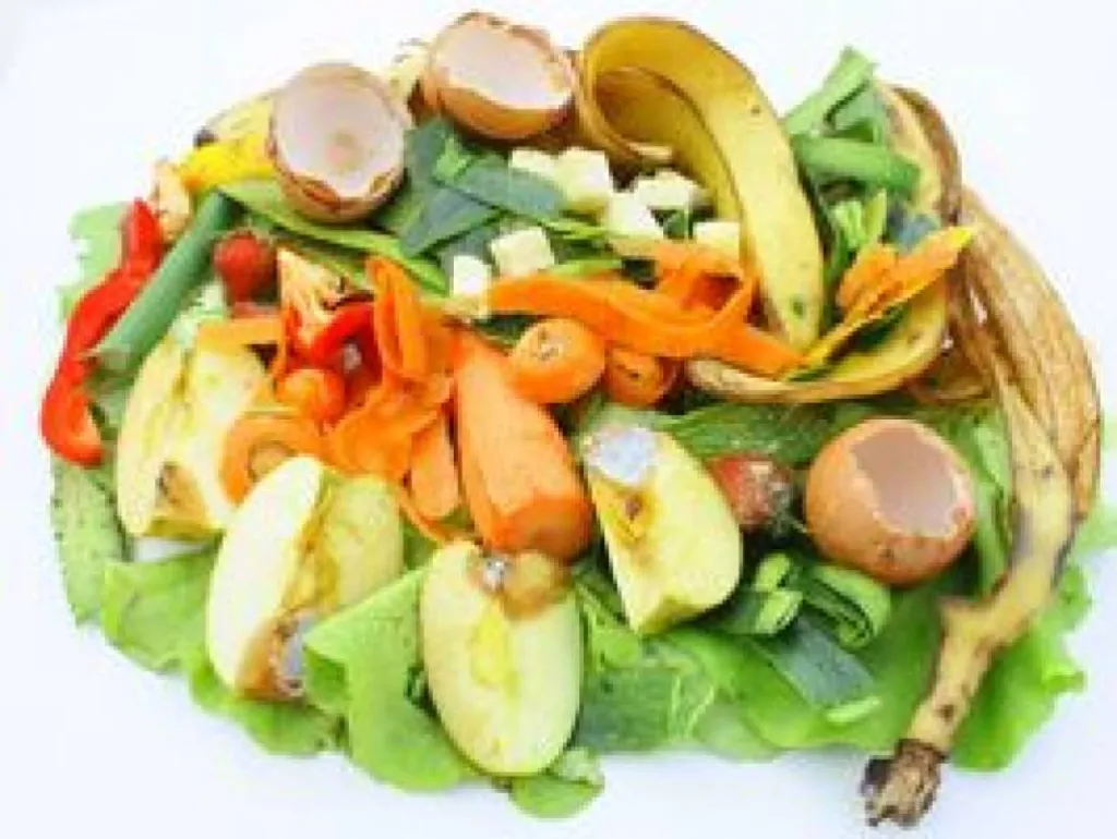 recyclage des dechets alimentaires en compost