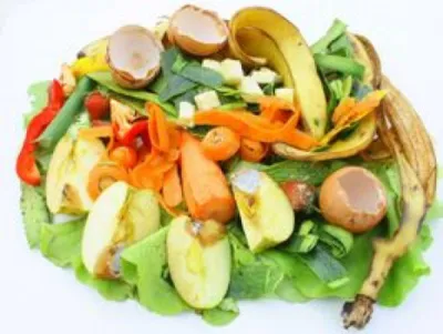 recyclage des dechets alimentaires en compost