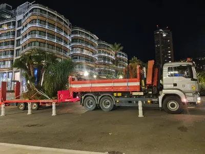 Levage pour transplantation de gros sujets à Monaco
