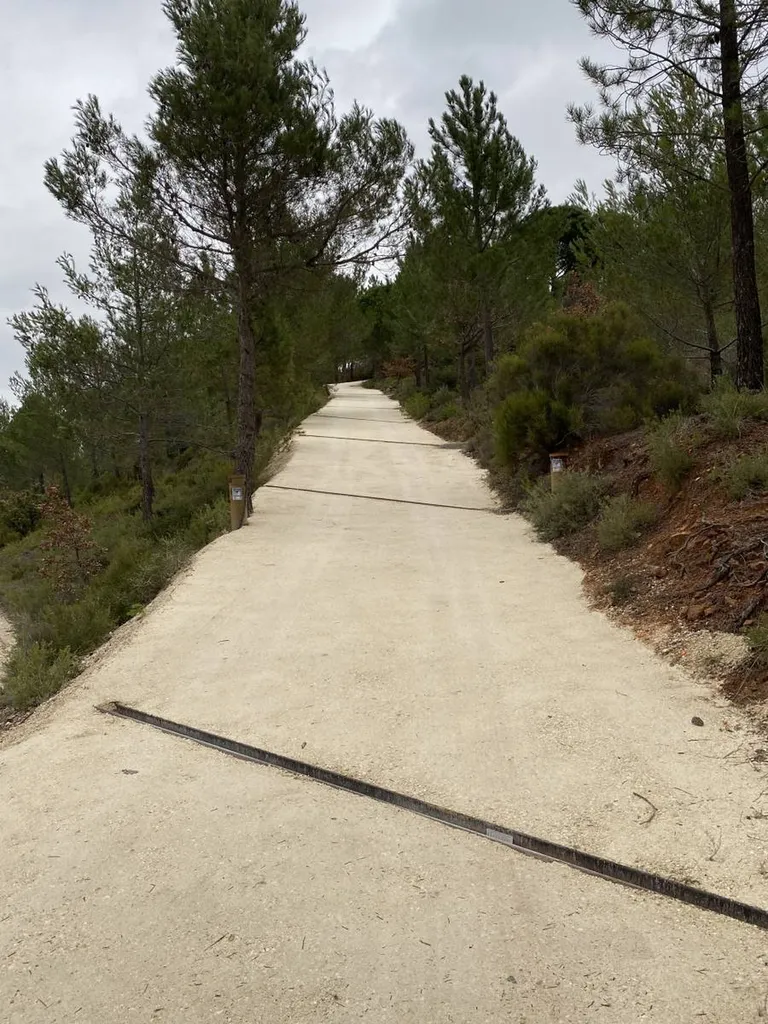 Réalisation d'un chemin d'accès avec la pose de reverdo à Roussillon