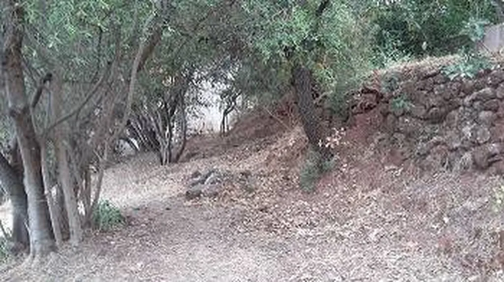 Terrain 711 m² - SOLLIES-PONT