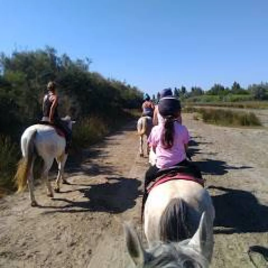 balade a cheval en camargue LE GRAU DU ROI