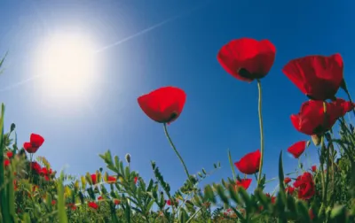 Les Taxis Aubagnais 7 jours sur 7, ponctualité et disponibilité