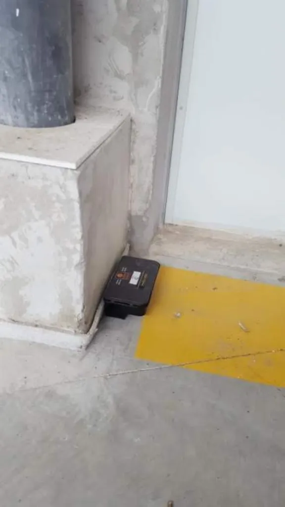 tuer les rats à marseille 13015