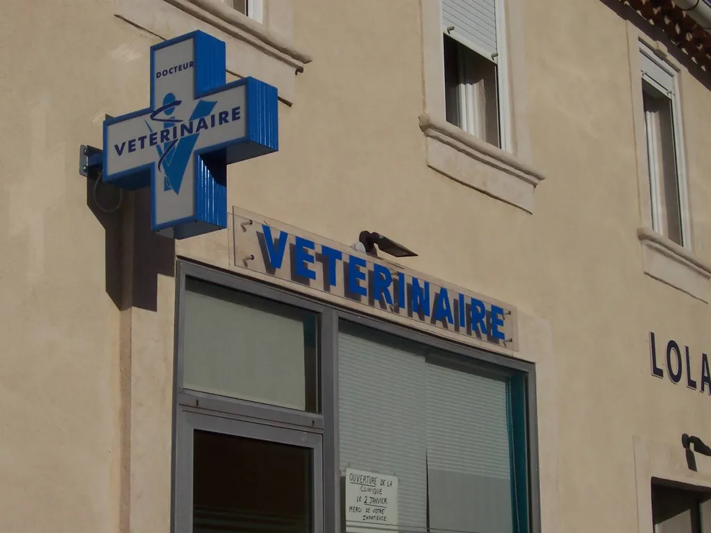 Caisson drapeau lumineux croix vétérinaire aubagne